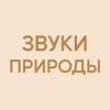Радио Звуки Природы — слушать онлайн