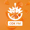 Радио Сок FM — слушать онлайн
