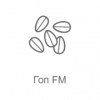 Гоп FM - Радио Рекорд — слушать онлайн