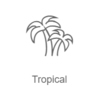 Tropical — слушать онлайн