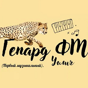Гепард FM — слушать онлайн