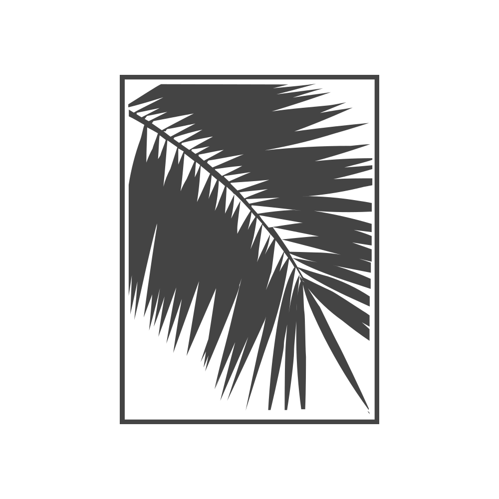 Palmera Blanca radio - Daystream — слушать онлайн